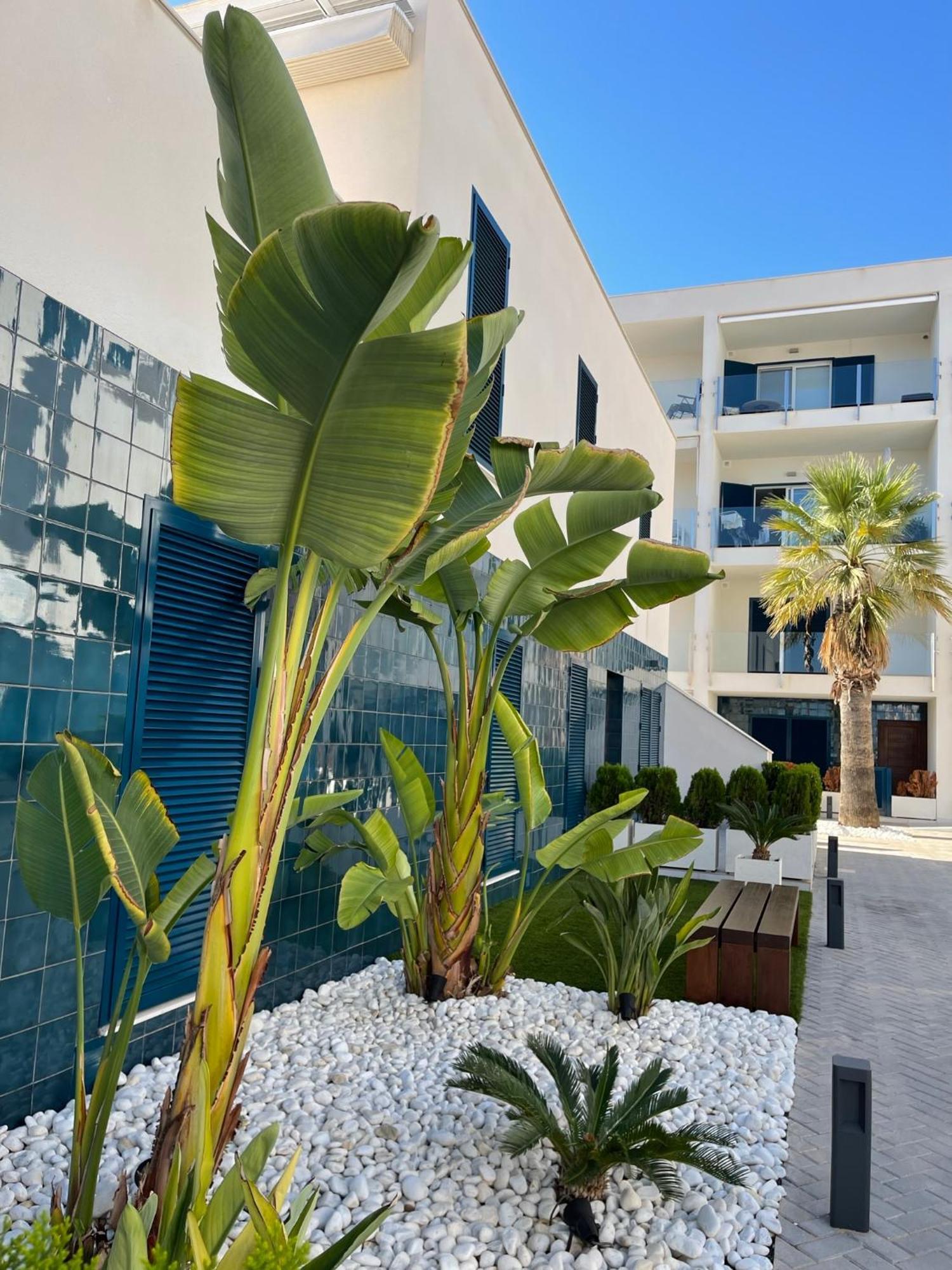 Hola Blanca - Sea, Golf, Chill Διαμέρισμα Dehesa de Campoamor  Εξωτερικό φωτογραφία