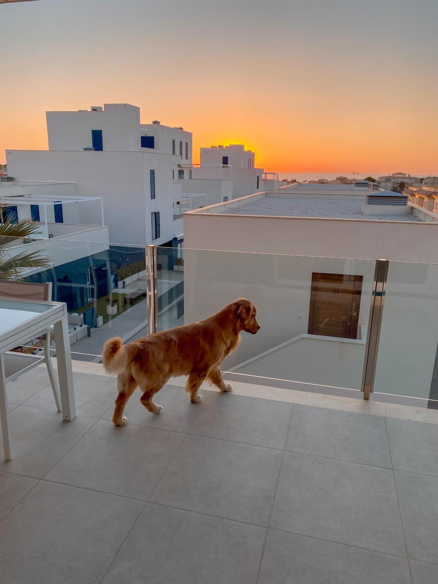 Hola Blanca - Sea, Golf, Chill Διαμέρισμα Dehesa de Campoamor  Εξωτερικό φωτογραφία
